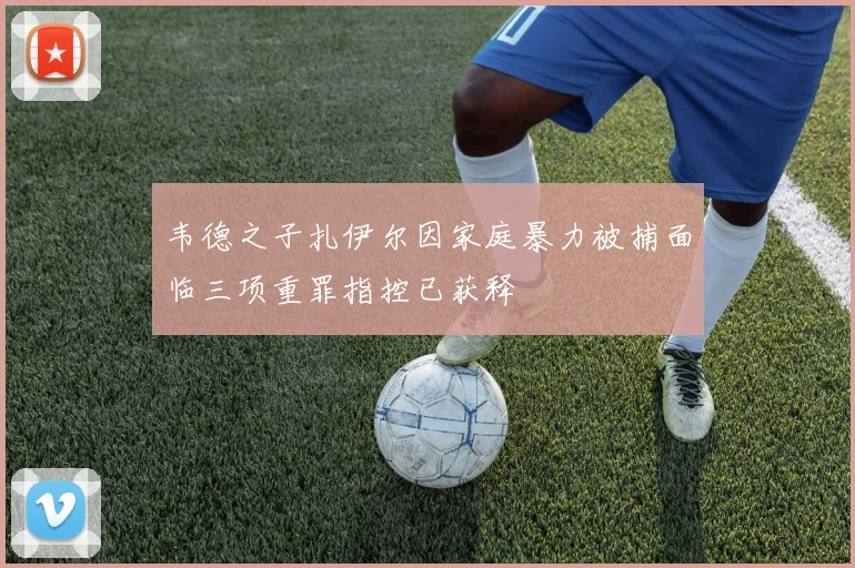 韦德之子扎伊尔因家庭暴力被捕面临三项重罪指控已获释